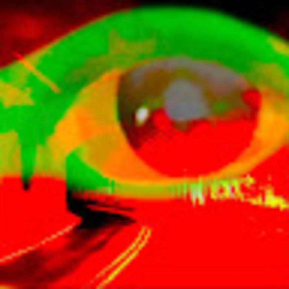 Meet your Posher, Lorissa